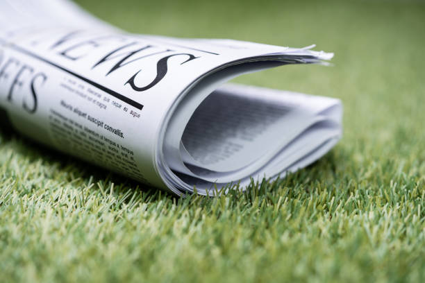 Rolled newspaper on grass